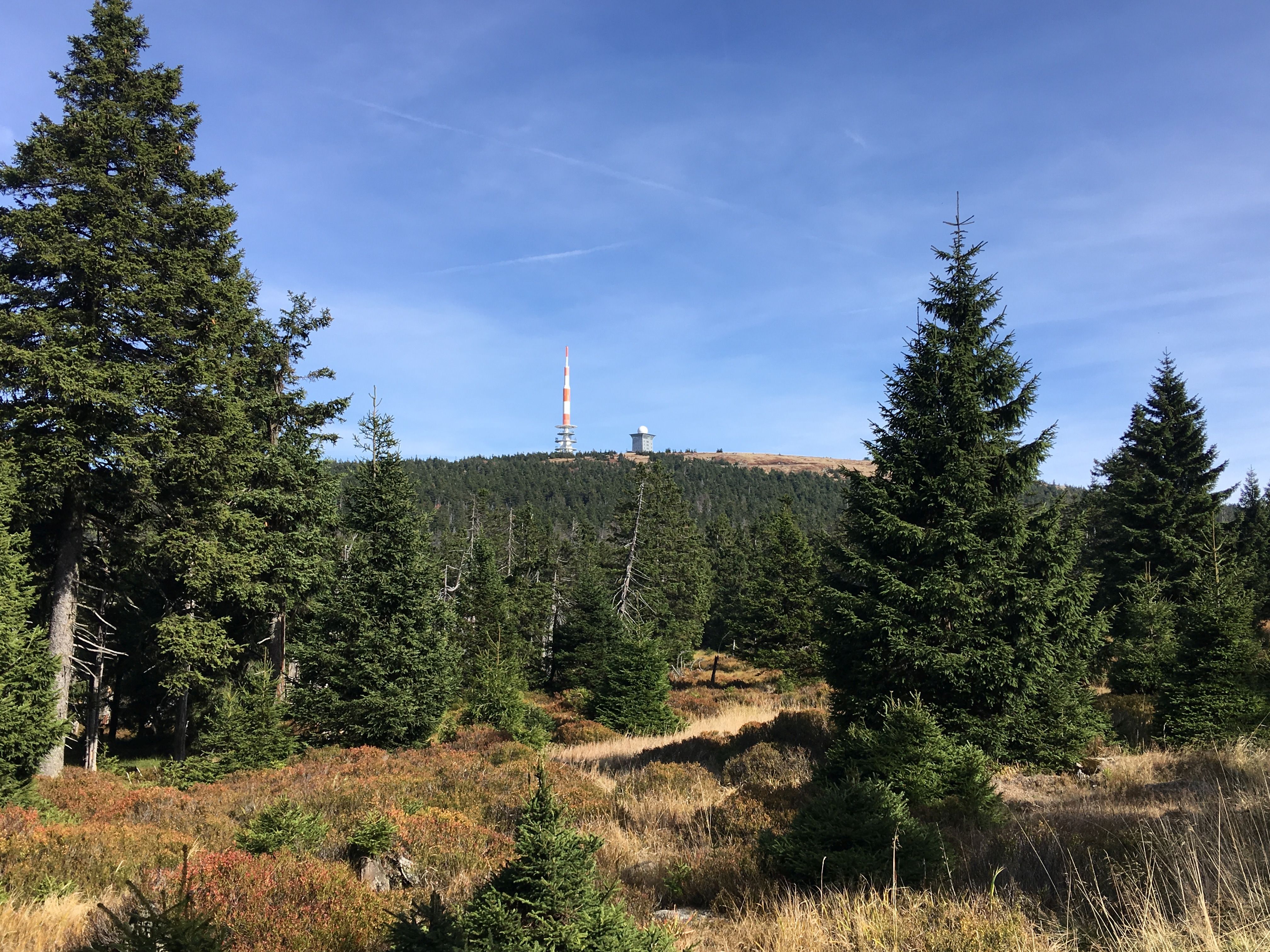 Brockenblick vom Goetheweg c Harzer Tourismusverband