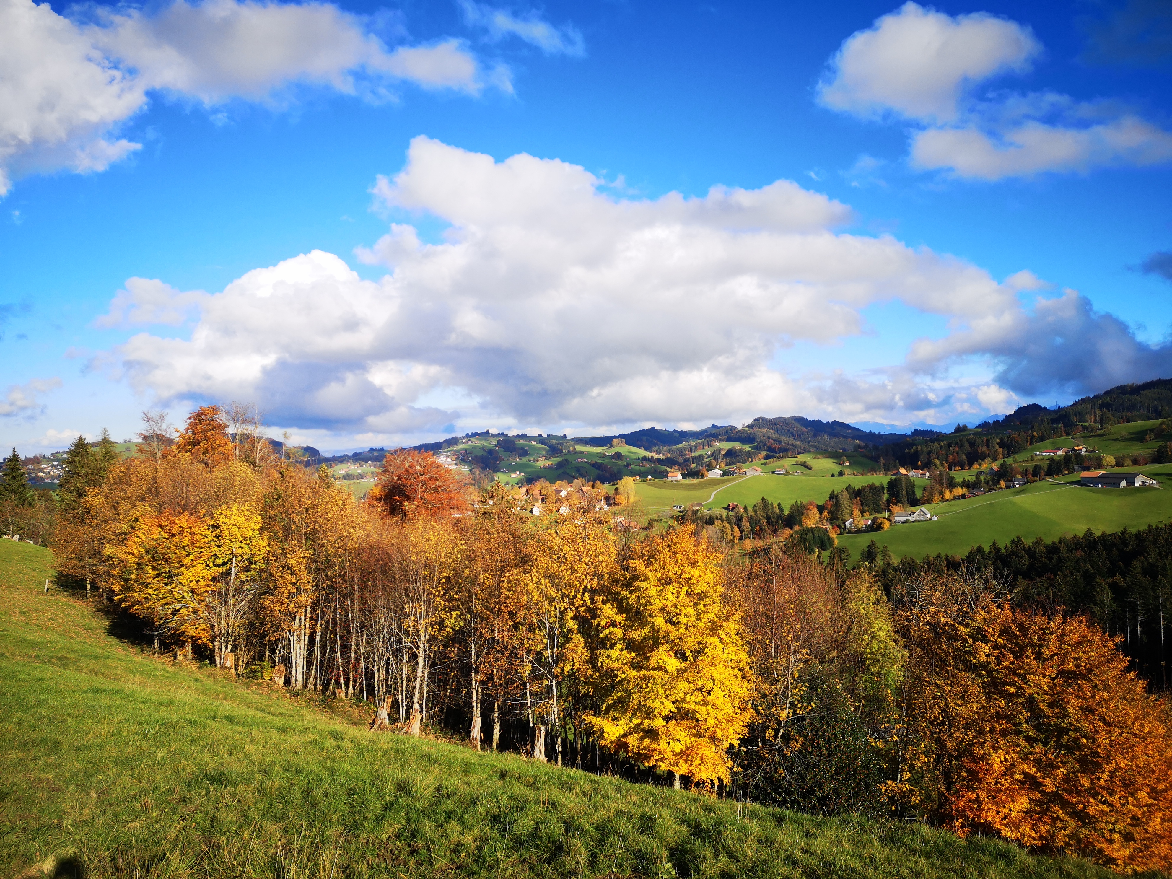 Berge Tagesreise Herbstwälder