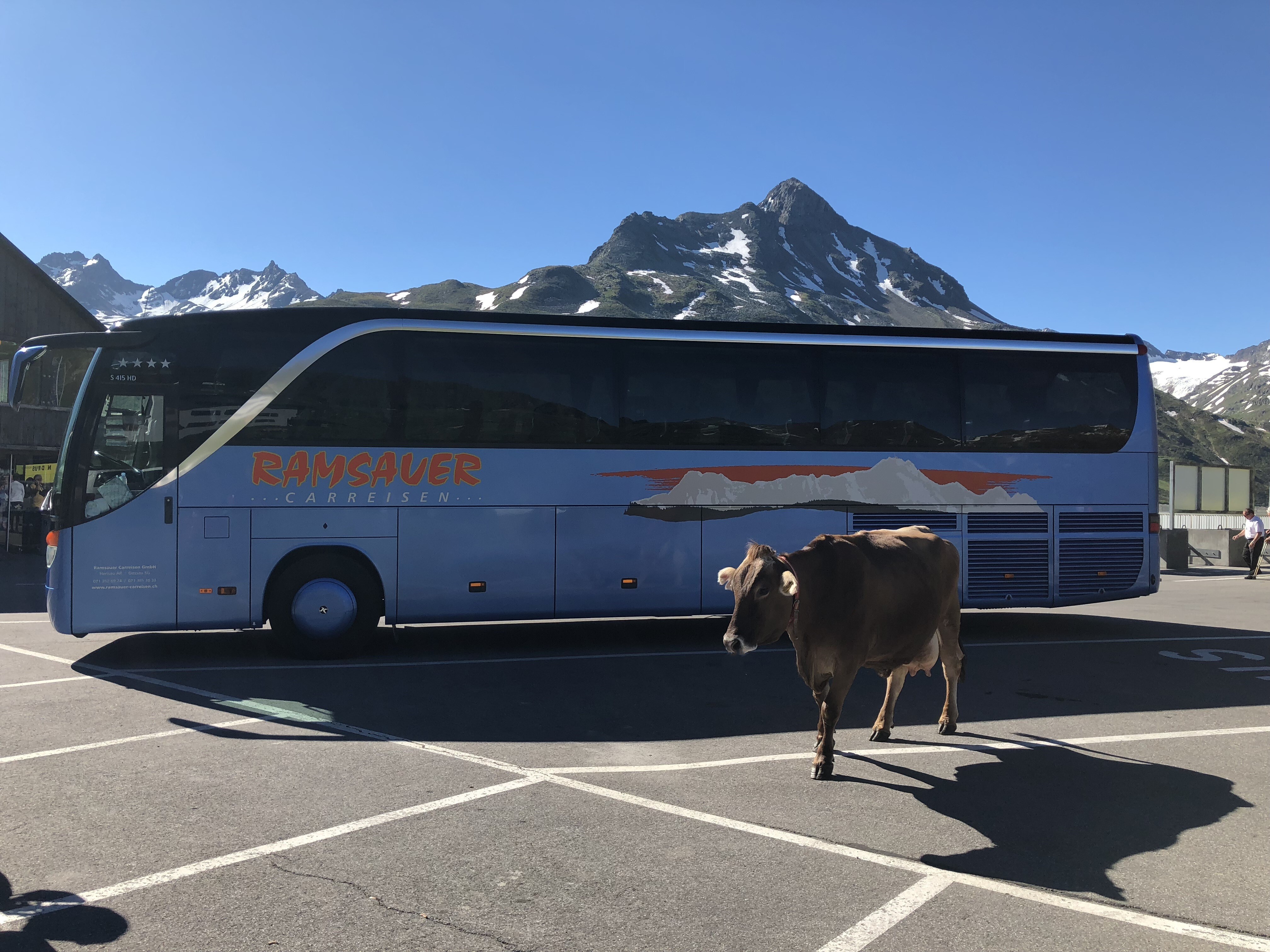 Silvretta Ramsauercar