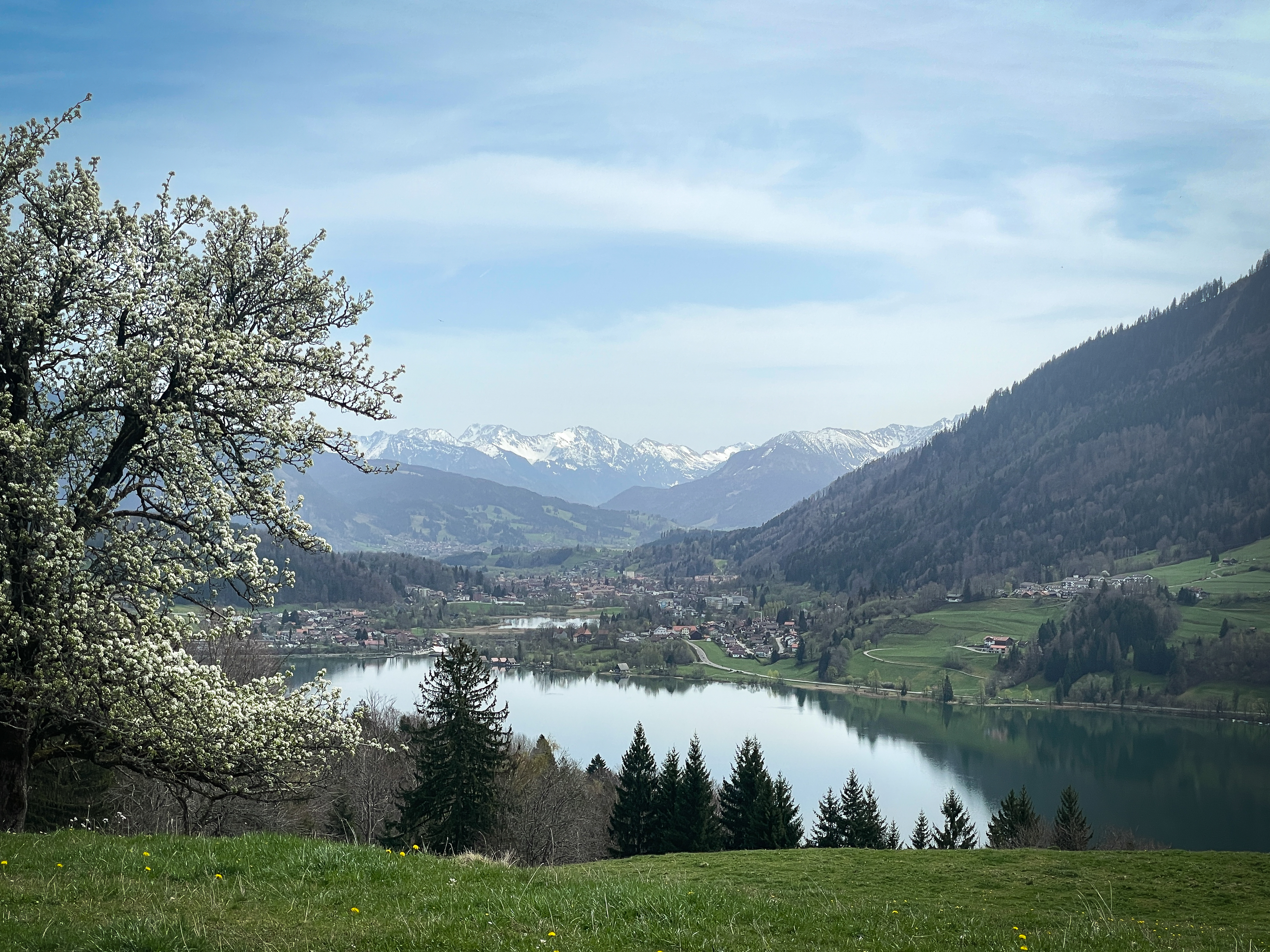 Immenstadt Alpse Frühling Allgäu GmbH