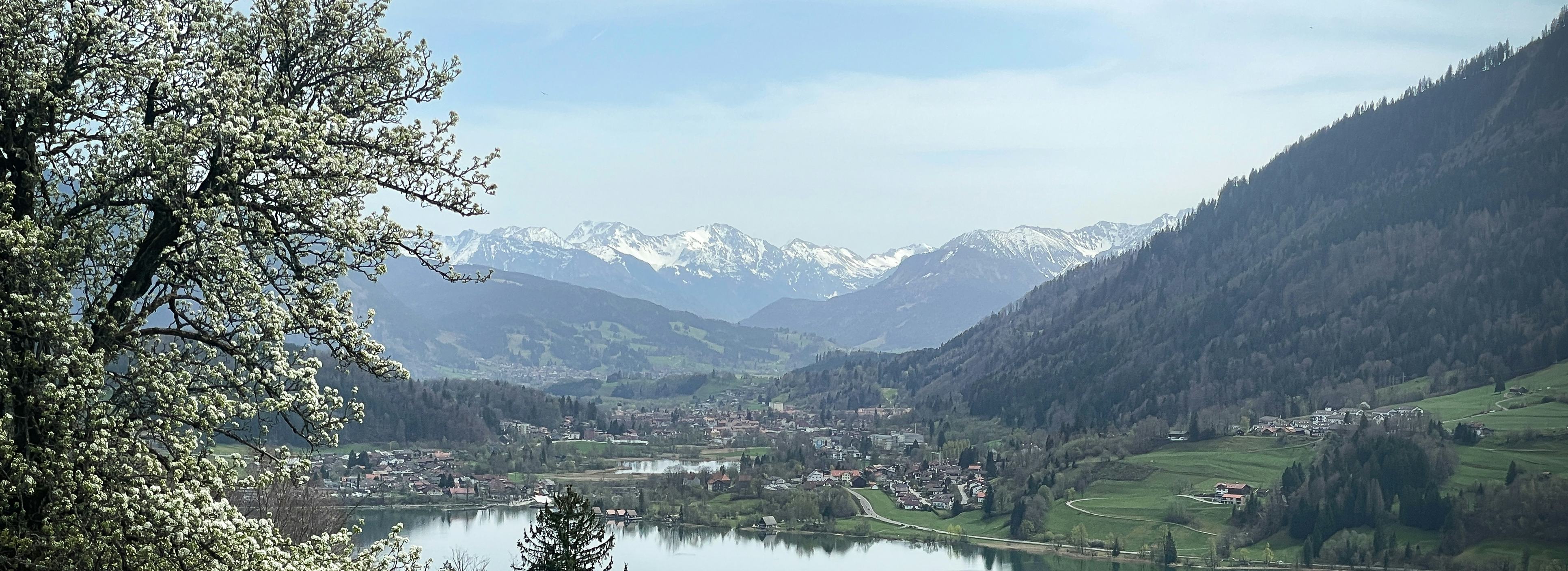 Immenstadt Alpse Frühling Allgäu GmbH