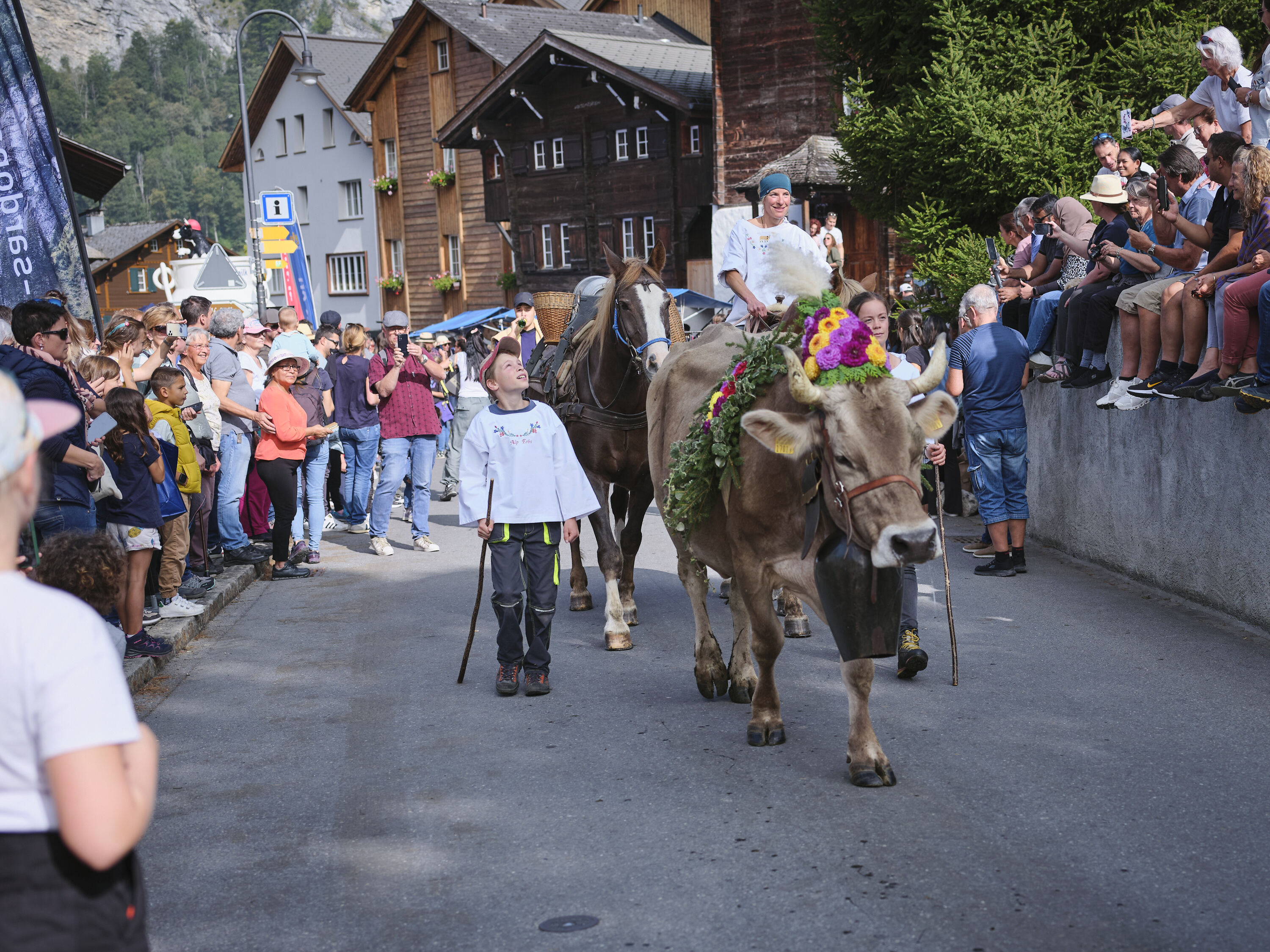 Alpchaesmaert elm gh 1861