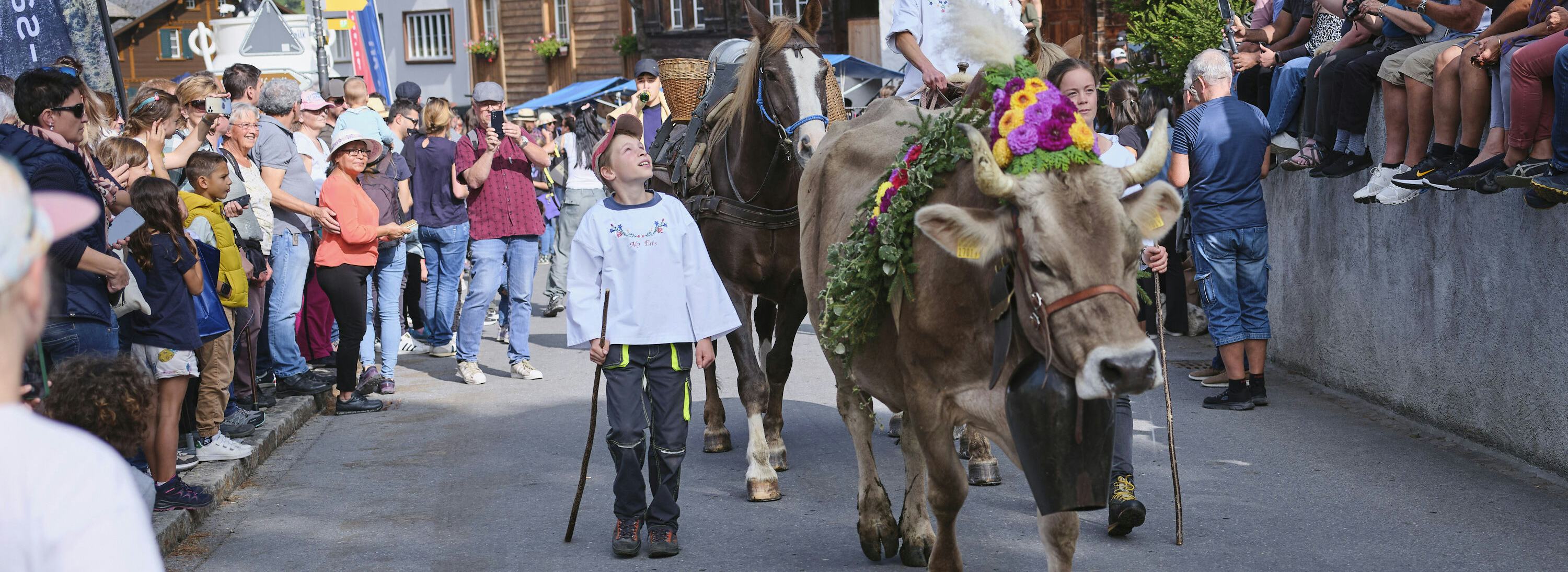 Alpchaesmaert elm gh 1861