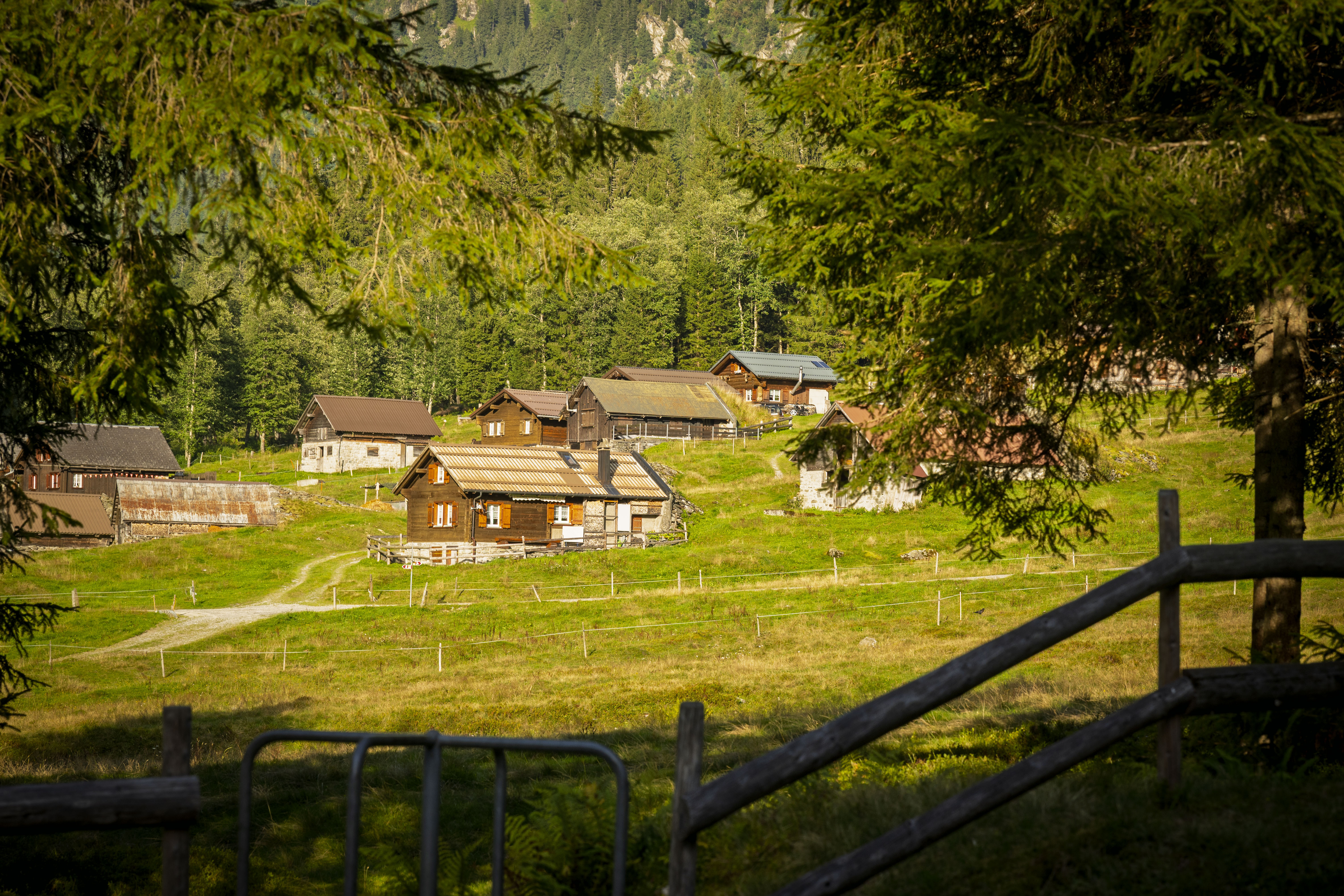 Maderanertal Alphüttli