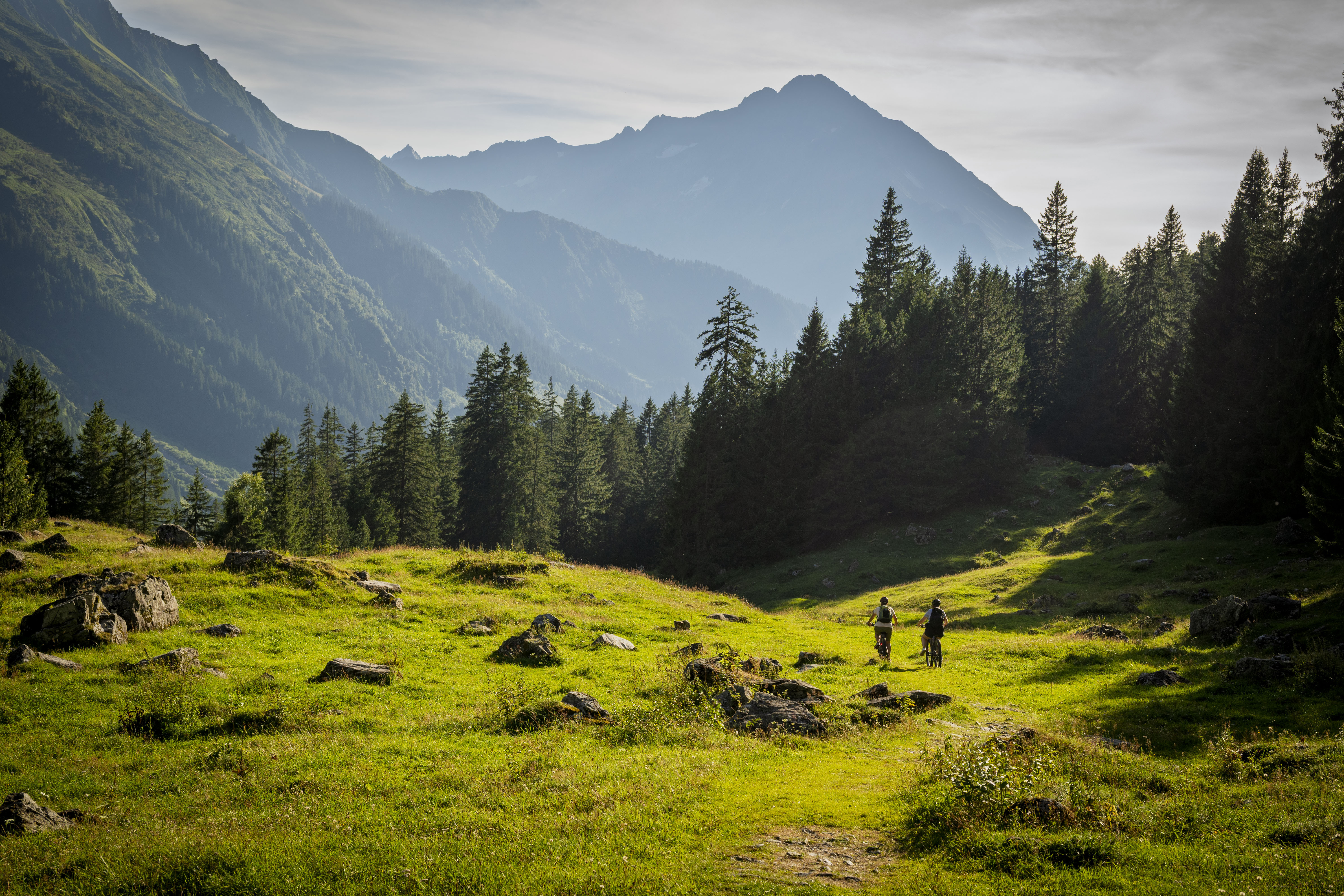 Maderanertal Bergwelt mit Wald