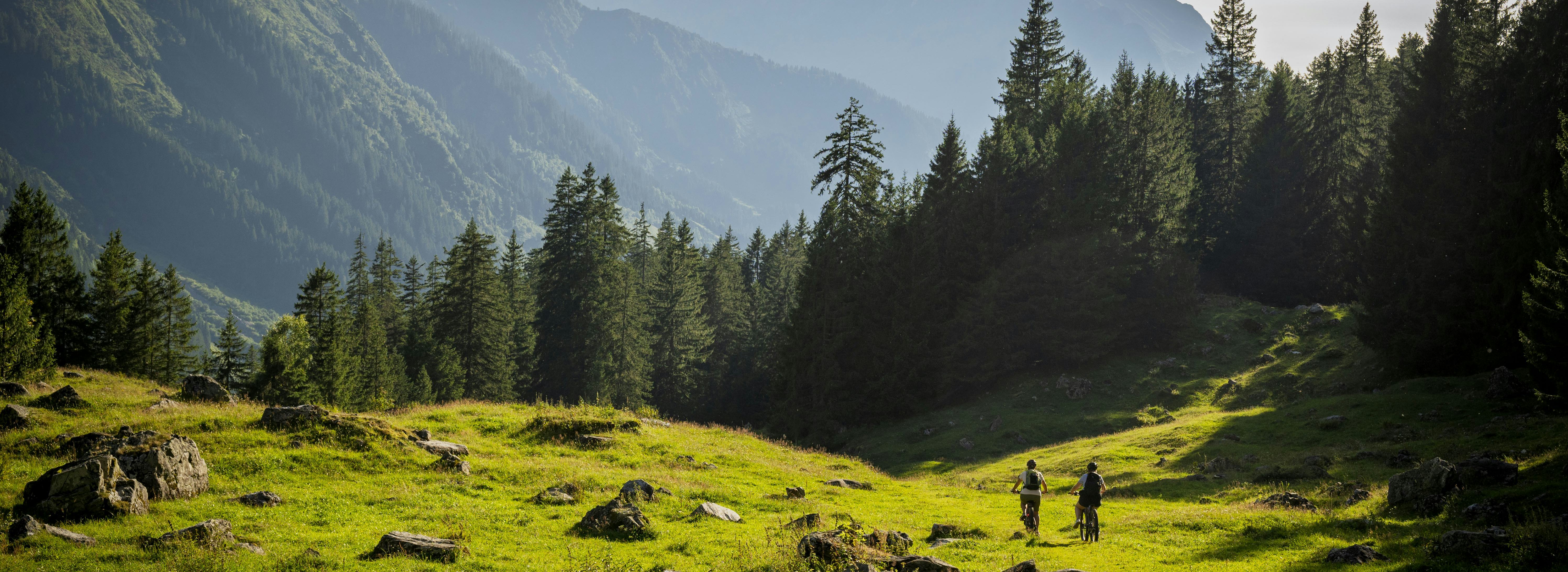 Maderanertal Bergwelt mit Wald