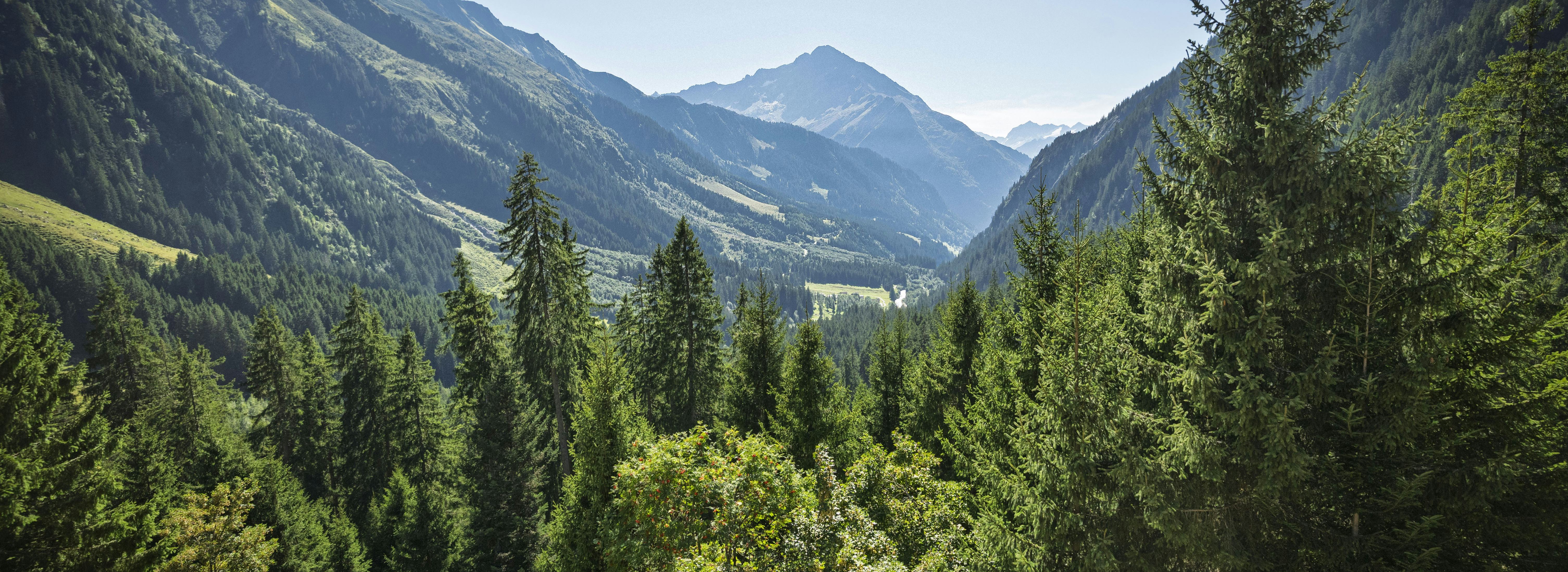 Maderanertal Weitblick
