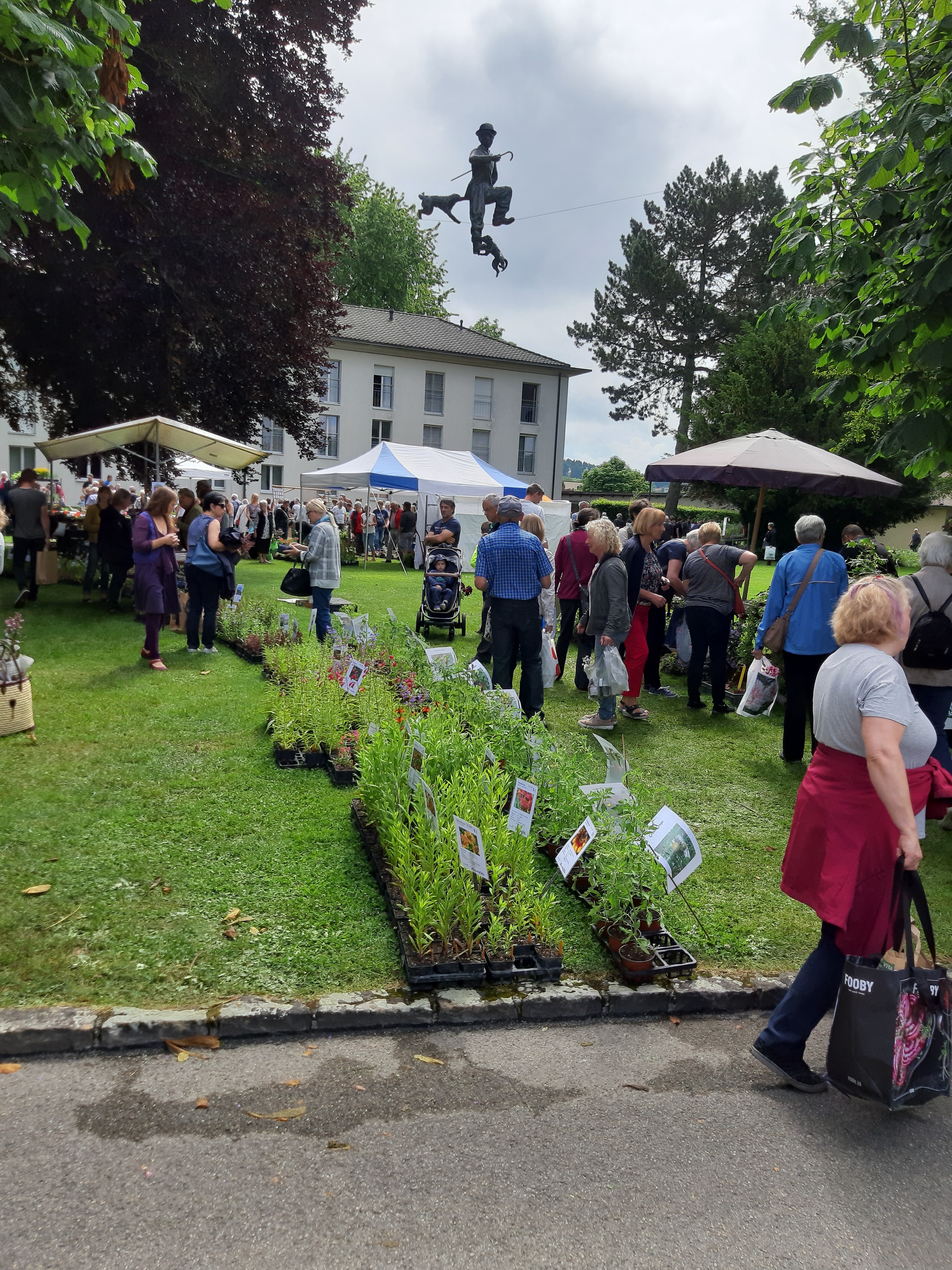 Pflanzenraritätenmarkt St. Urban Sträucher