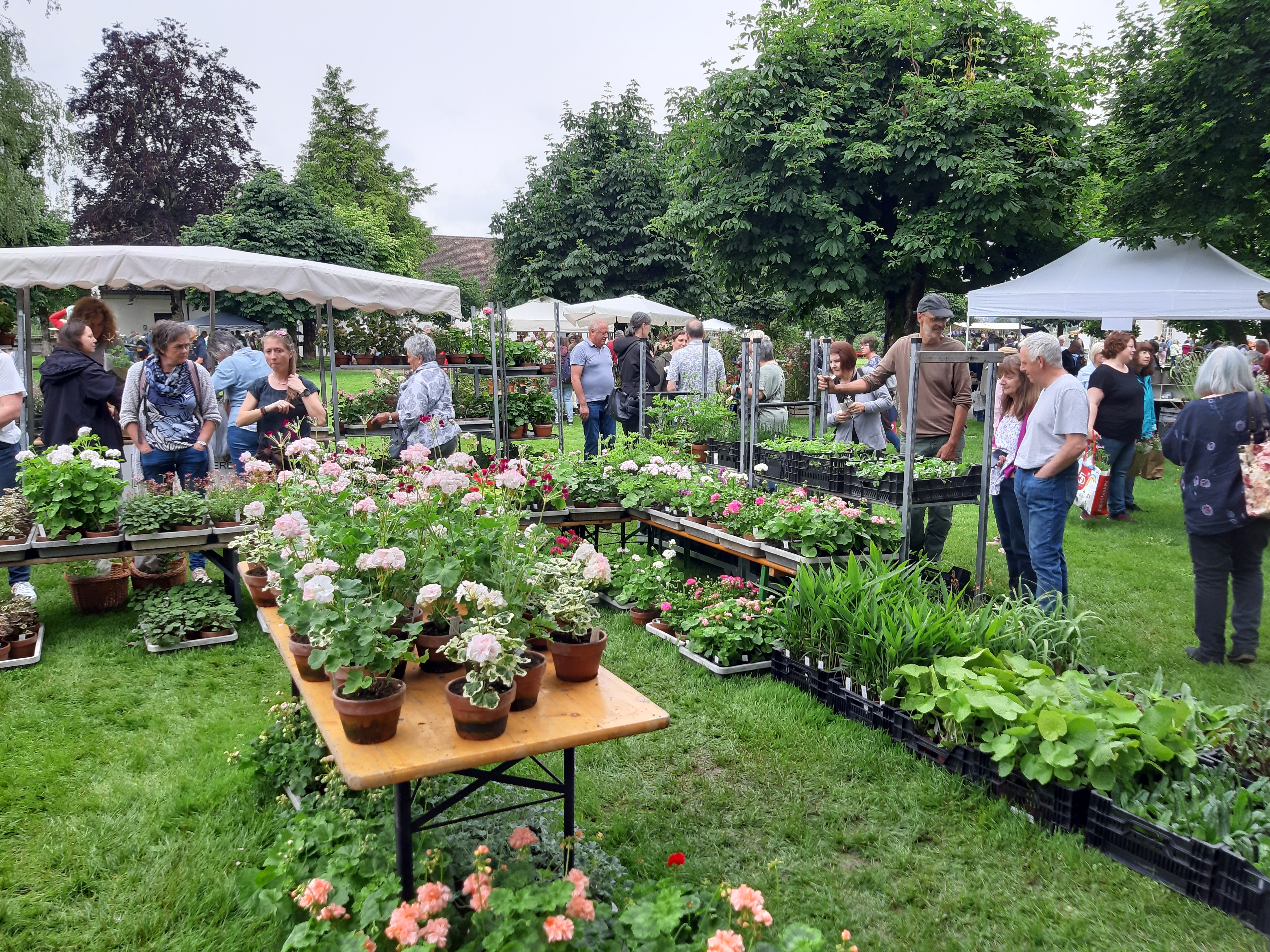 Pflanzenraritätenmarkt St Urban Raritäten