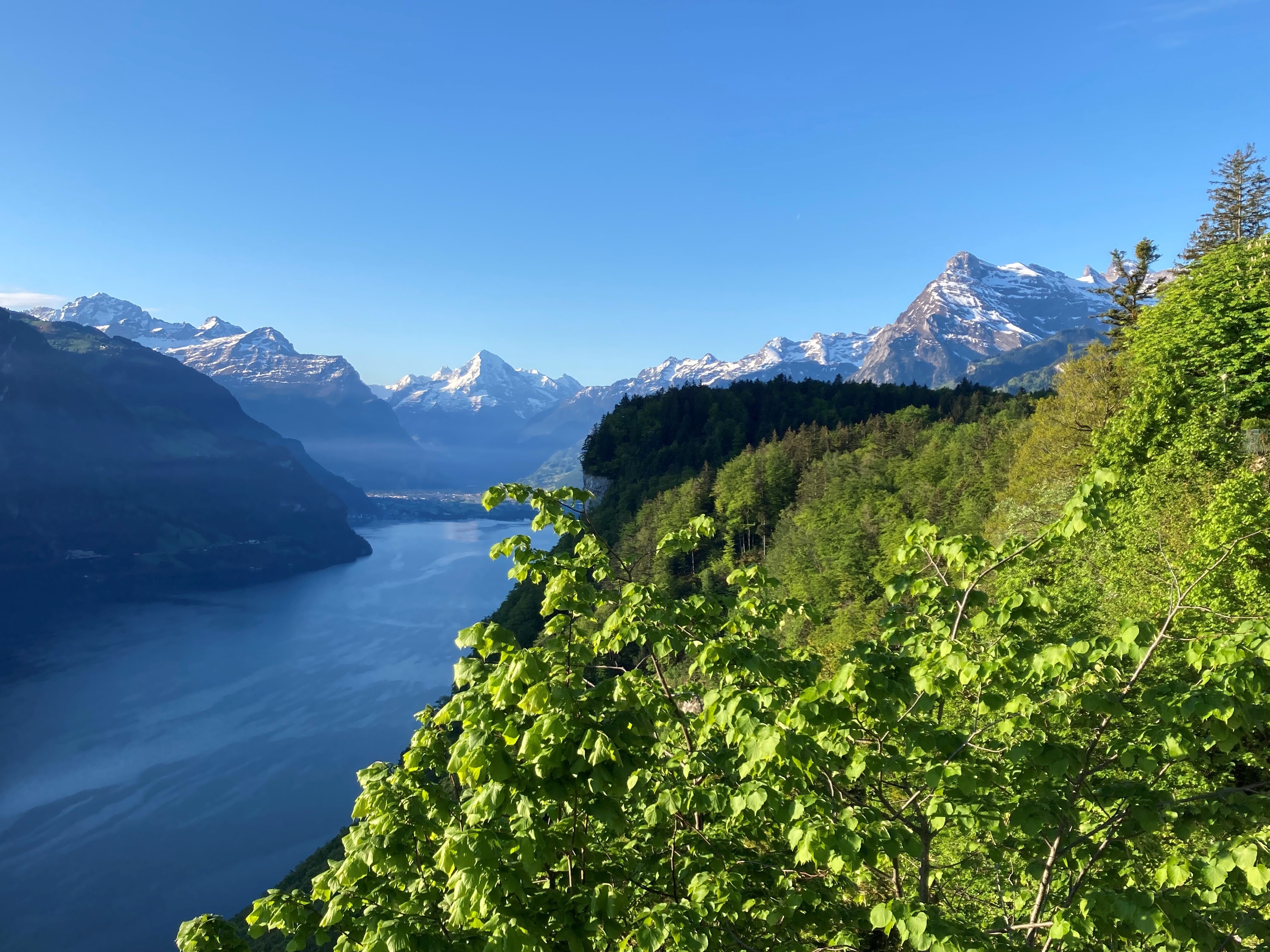 SBT Schillerbalkon gegen S Frühling