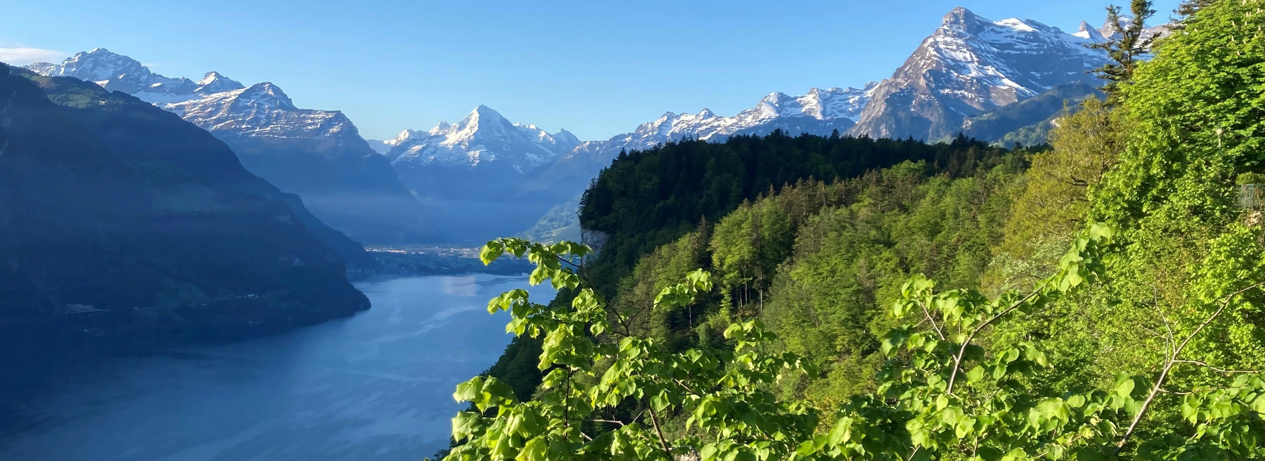SBT Schillerbalkon gegen S Frühling