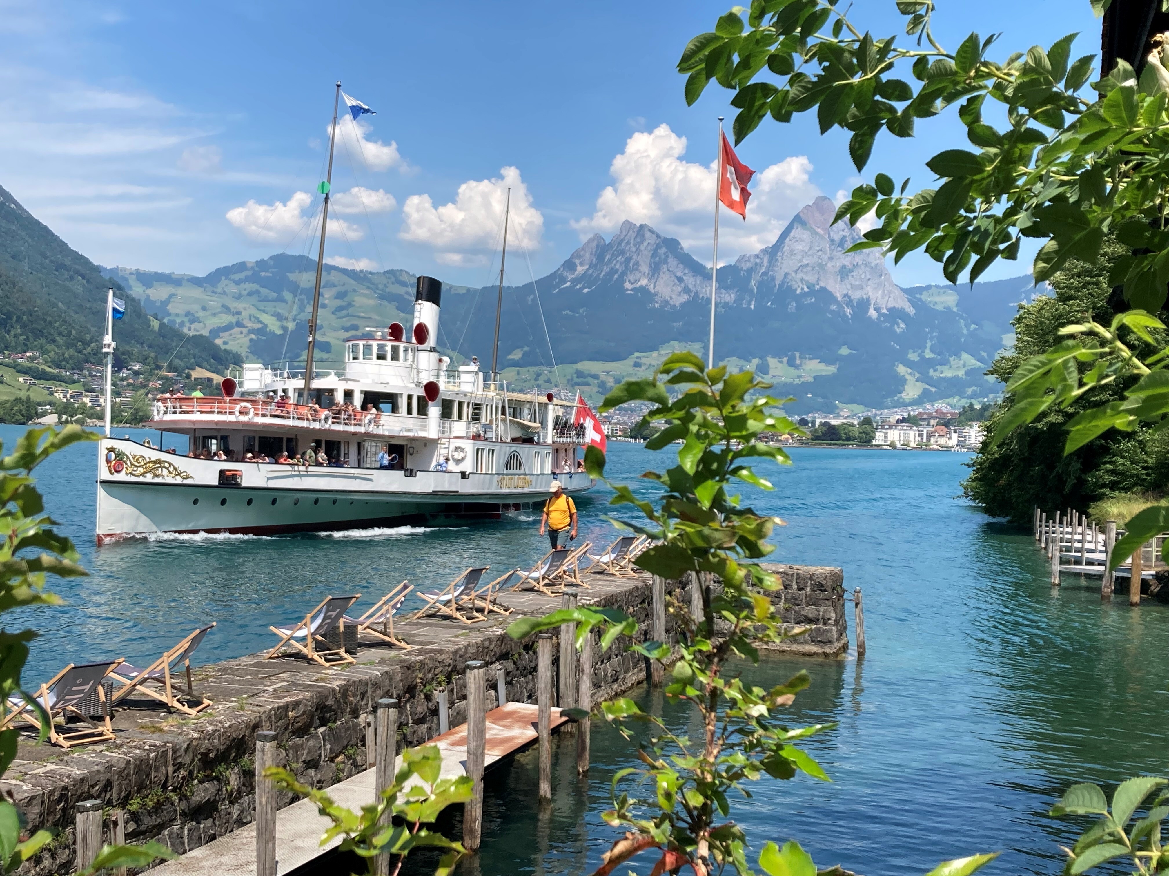 SGV Stadt Luzern mit Treibmauer und Mythen durch Blätter