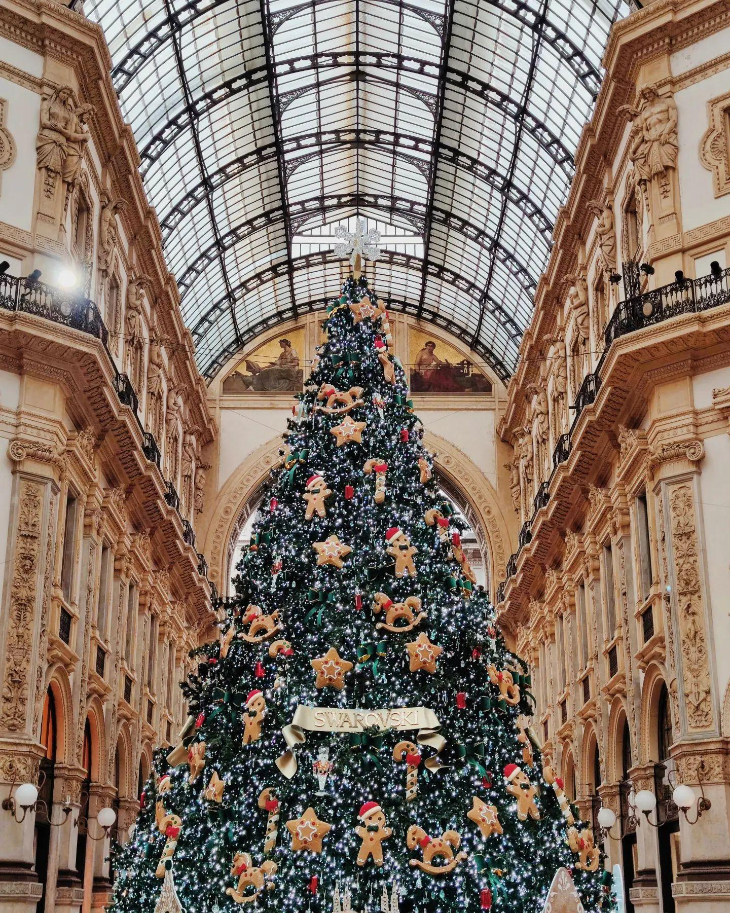 Weihnachtsbau Milano